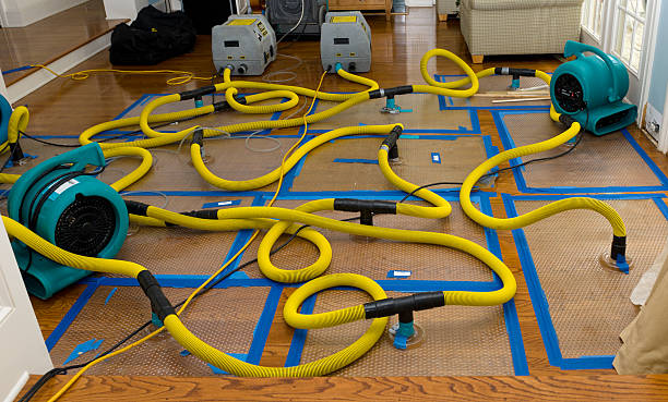 Professional Flood Damage Restoration technician working in Elsberry, MO